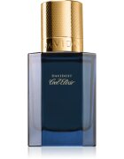 Davidoff Cool Elixir Parfum Intense parfum pentru bărbați 30 ml