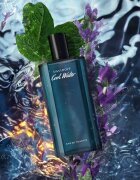 Davidoff Cool Water Eau de Toilette pentru bărbați 125 ml