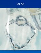 Davidoff Cool Water Woman Eau de Toilette pentru femei 30 ml