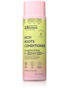 delhicious RICH ROOTS Repair & Shine Conditioner balsam pentru regenerare pentru un par stralucitor si catifelat 250 ml