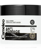 Delia Cosmetics Cameleo BB masca cu keratina pentru par deteriorat 200 ml