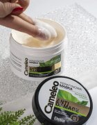 Delia Cosmetics Cameleo BB masca cu keratina pentru par deteriorat 200 ml