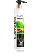 Delia Cosmetics Cameleo BB Sampon cu keratina pentru par deteriorat 250 ml