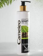 Delia Cosmetics Cameleo BB Sampon cu keratina pentru par deteriorat 250 ml
