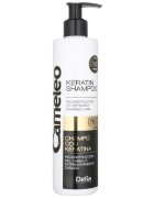 Delia Cosmetics Cameleo BB Sampon cu keratina pentru par deteriorat 250 ml