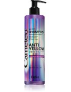 Delia Cosmetics Cameleo Silver șampon neutralizeaza tonurile de galben 250 ml