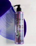 Delia Cosmetics Cameleo Silver șampon neutralizeaza tonurile de galben 250 ml