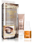 Delia Cosmetics Cameleo Vopsea crema profesionala pentru sprancene fără amoniac culoare 3.0 Dark Brown 15 ml