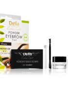Delia Cosmetics Eyebrow Expert vopsea de sprancene culoare 1.0 Black 4 g