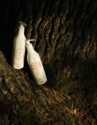 Delia Cosmetics Forest Blend lapte de corp regenerator 300 ml