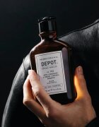 Depot 100 HAIR CLEANSING NO. 102 PURIFYING & SEBUM CONTROL șampon pentru reechilibrarea scalpului gras 250 ml