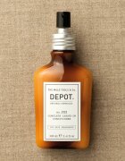 Depot 200 HAIR TREATMENTS NO. 202 COMPLETE LEAVE-IN CONDITIONER conditioner Spray Leave-in 100 ml