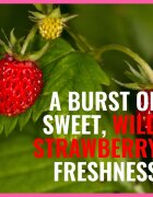 Dermacol Aroma Moment Wild Strawberries spuma de baie pachet pentru calatorie 2x15 ml