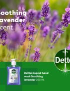 Dettol Soft on Skin Lavender Săpun lichid pentru mâini 250 ml