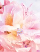 DIOR Miss Blooming Bouquet Roller-Pearl Eau de Toilette roll-on pentru femei 20 ml