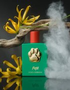 Dolce&Gabbana Fefé fragrance mist for dogs brumă parfumată unisex 100 ml
