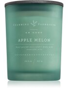 DW Home Charming Farmhouse Apple Melon lumânare parfumată 414 g