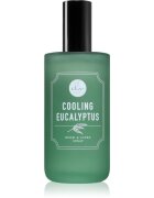 DW Home Cooling Eucalyptus spray pentru camera 120 ml