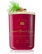DW Home Farmhouse Cinnamon Clove & Cypress lumânare parfumată 445 g