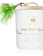 DW Home Farmhouse Winter Mint & Spruce lumânare parfumată 244 g