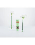 Ecodenta Green Tartar Eliminating pastă de dinți împotriva tartrului cu efect răcoritor cu flor aroma Cranberry 100 ml