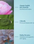 Elemis Pro-Collagen Rose Marine Cream gel crema hidratant pentru fermitatea pielii 30 ml
