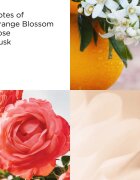 Elizabeth Arden Sunflowers Eau de Toilette pentru femei 30 ml