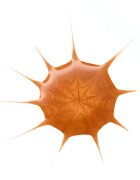 essence Drop of Sunshine crema bronzanta 25 ml