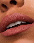 Estée Lauder Pure Color Matte Lipstick ruj cu persistență îndelungată cu efect mat culoare In Control 35 g