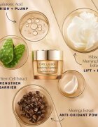 Estée Lauder Revitalizing Supreme+ Youth Power Creme cremă de zi lifting și fermitate pentru strălucirea și netezirea pielii 75 ml