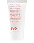 EVO Mane Attention Protein Treatment masca hidratanta cu conținut ridicat de proteină 30 ml