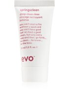 EVO Springsclean Deepclean Rinse curatarea profunda a scalpului 30 ml