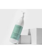 FarmaVita Amethyste Advance Divalent sampon cu efect calmant pentru varfuri deteriorate 1000 ml