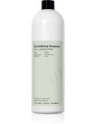 FarmaVita Backbar Revitalizing sampon revitalizant si hidratant 1000 ml