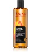 Farmona Jantar Amber Essence șampon pentru par deteriorat 300 ml