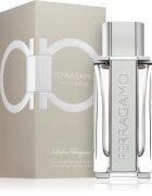 Ferragamo Bright Leather Eau de Toilette pentru bărbați 100 ml