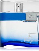 Ferragamo F by Free Time Eau de Toilette pentru bărbați 100 ml