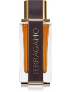 Ferragamo Spicy Leather Eau de Parfum pentru bărbați 100 ml