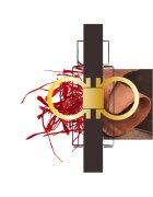 Ferragamo Spicy Leather Eau de Parfum pentru bărbați 100 ml