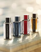 Ferragamo Spicy Leather Eau de Parfum pentru bărbați 100 ml