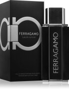Ferragamo Sublime Leather Eau de Parfum pentru bărbați 100 ml