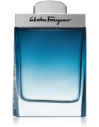 Ferragamo Subtil Pour Homme Eau de Toilette pentru bărbați 100 ml