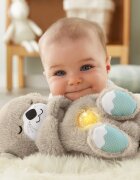 Fisher-Price Soothe & Settle Otter jucărie de pluș cu melodie 1 buc