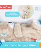 Fisher-Price Soothe & Settle Otter jucărie de pluș cu melodie 1 buc