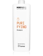 Framesi Morphosis Purifying sampon pentru curatare anti matreata 1000 ml