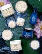fresh Lotus Youth Preserve Dream Cream crema de noapte împotriva tuturor semnelor de imbatranire 50 ml