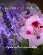 Friendly Soap Natural Shampoo Bar Lavender & Geranium săpun natural pentru păr 7x95 g