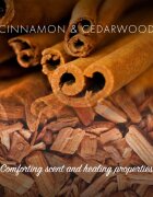 Friendly Soap Natural Soap Cinnamon săpun natural 7x95 g