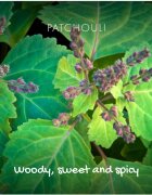 Friendly Soap Natural Soap Patchouli & Sandalwood săpun natural 95 g