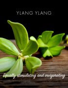 Friendly Soap Natural Soap Ylang Ylang săpun natural 7x95 g